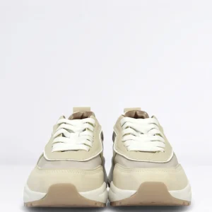 Donna ALEXANDER SMITH Sneaker Eco dover Col. Beige