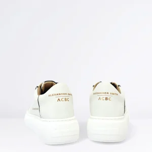 Donna ALEXANDER SMITH Sneaker Eco Greenwich Col.