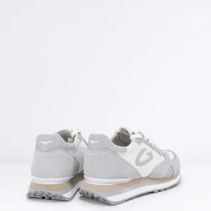 Uomo ALBERTO GUARDIANI Sneaker in Camoscio Col.