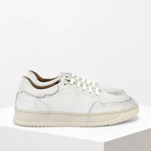 Uomo MAURO FERRINI Sneaker in pelle Col.