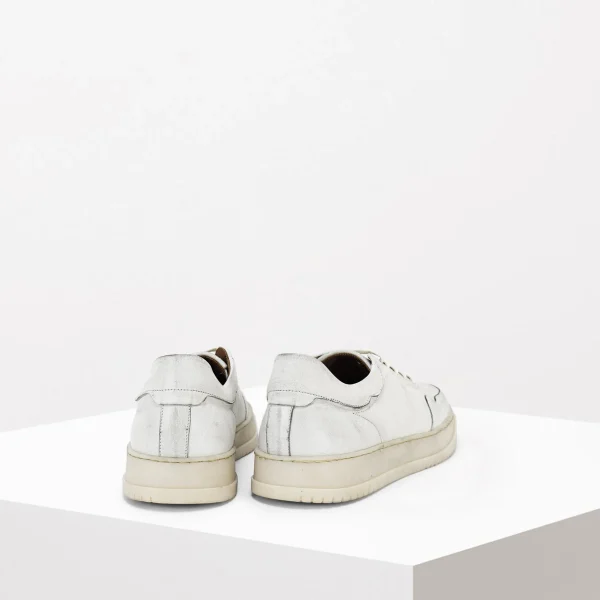 Uomo MAURO FERRINI Sneaker in pelle Col.