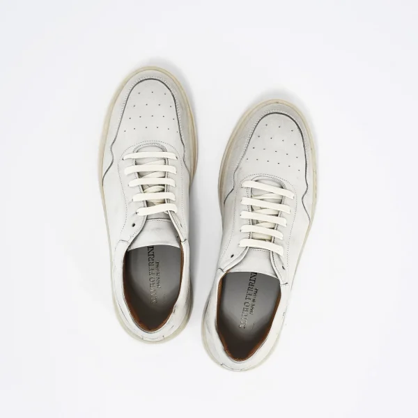 Uomo MAURO FERRINI Sneaker in pelle Col.