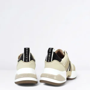 Donna ALEXANDER SMITH Sneaker Marble Col.