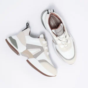 Donna ALEXANDER SMITH Sneaker Marble Col.
